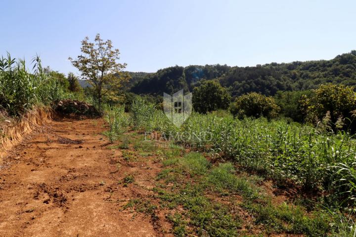 Zemljište Motovun, 800m2