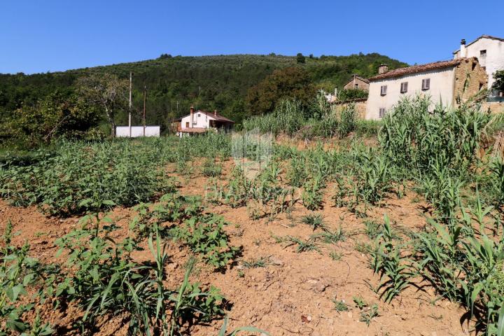 Zemljište Motovun, 800m2