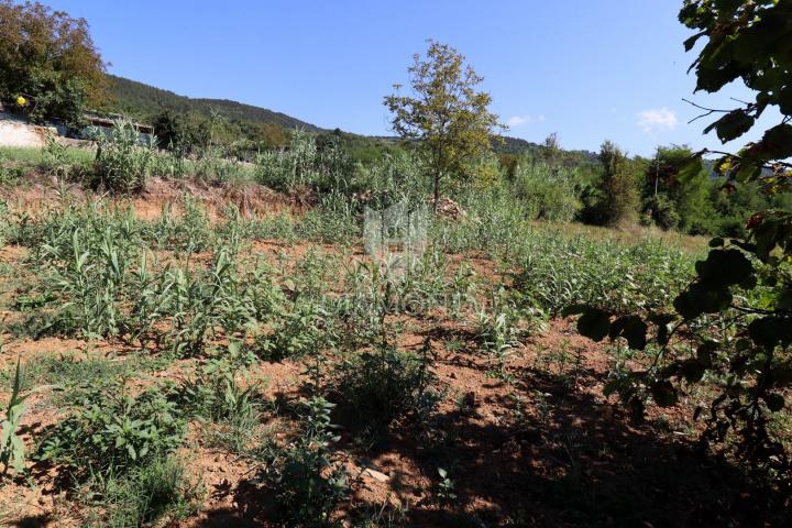 Grundstück Motovun, 800m2