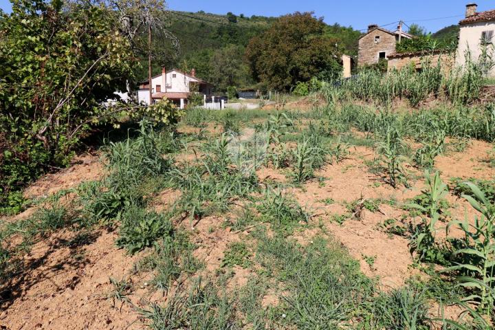 Grundstück Motovun, 800m2