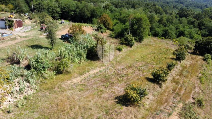 Zemljište Motovun, 800m2