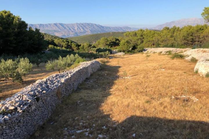 Brač, Pučišća, kuća prizemnica s velikim maslinikom od 8300 m2