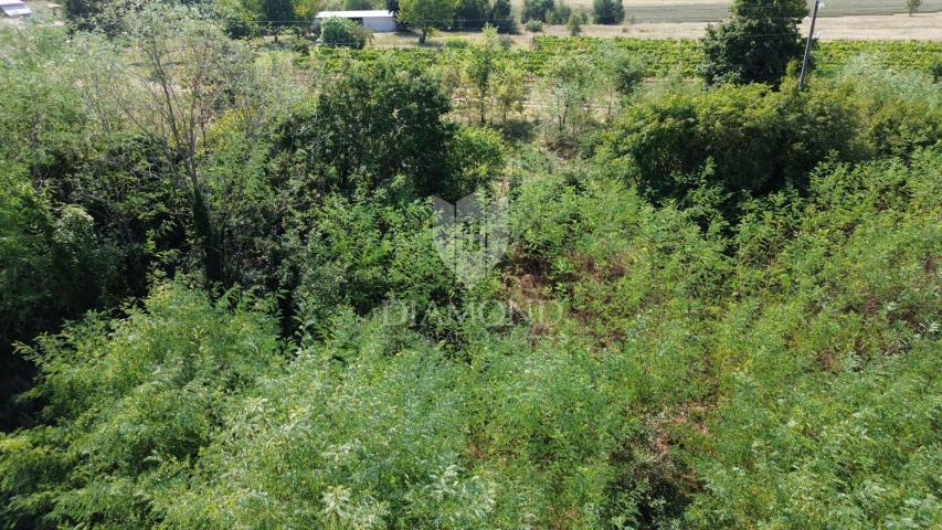 Land Labin, 750m2