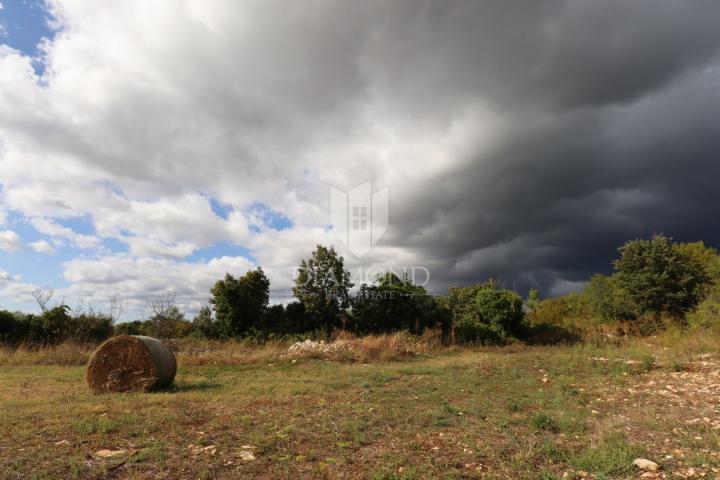 Building plot in a peaceful village near Svetvinčenat