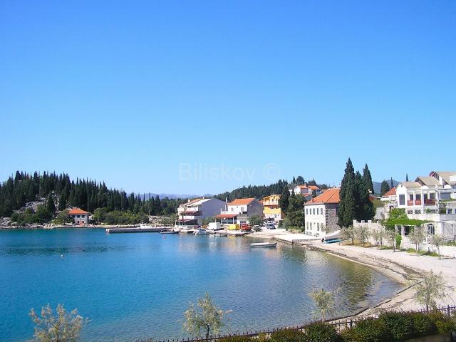 Prodaja, Samostojeća kuća površine 160 m2, Blace