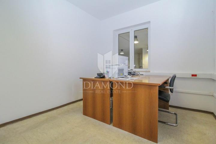 Office space Novigrad, 410m2