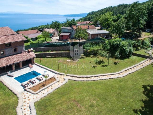 House Opatija - Okolica, 564m2