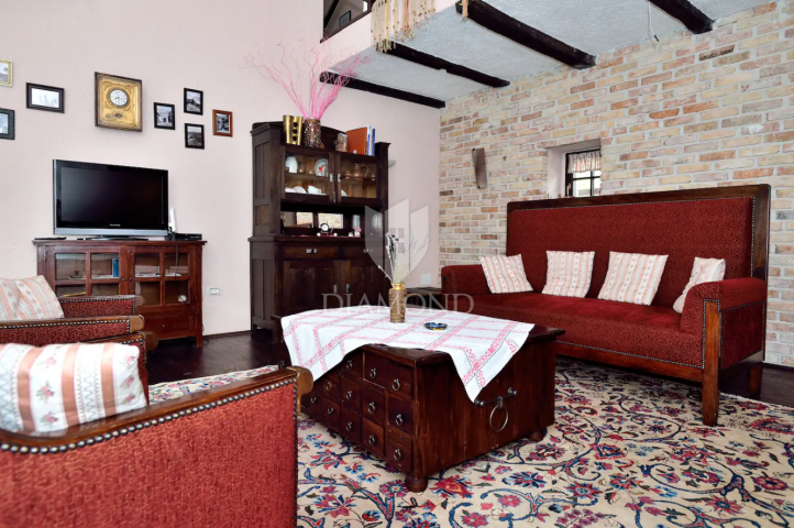 House Pazin - Okolica, 294m2