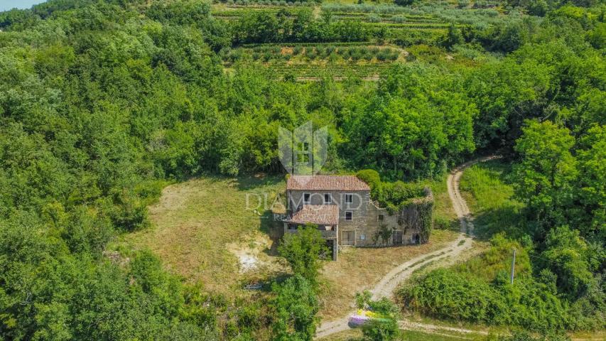 Haus Motovun, 330m2