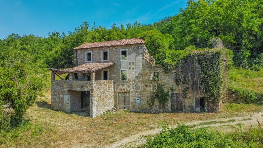 Haus Motovun, 330m2