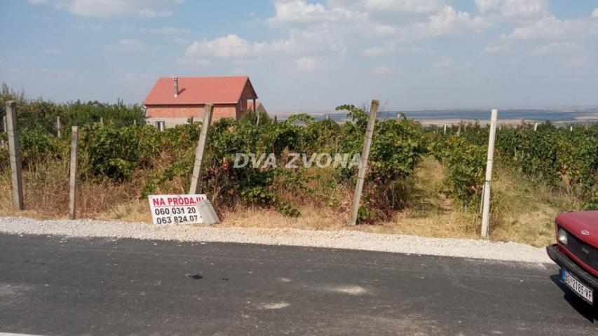 PLAC SA POGLEDOM NA DUNAV I BAČKU KOD VINARIJE ŠAPAT