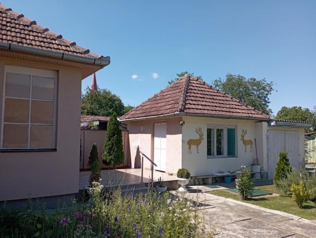 Svilojevo - Starogradska, renovirana 142m2