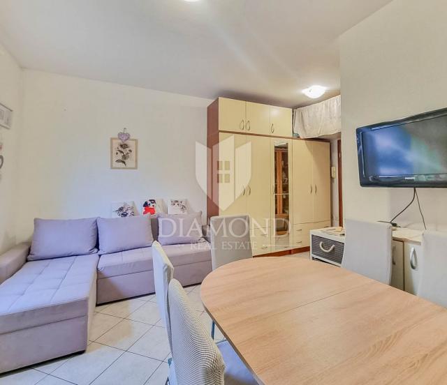 Stan/Apartman Novigrad, 27m2