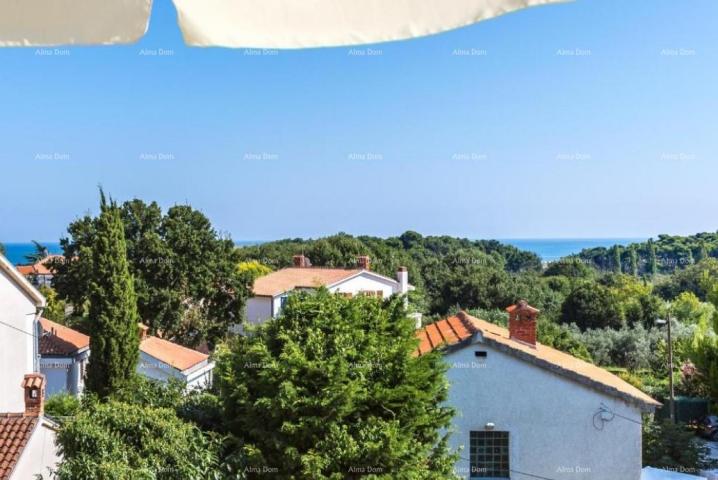 House House with apartments for sale, Premantura