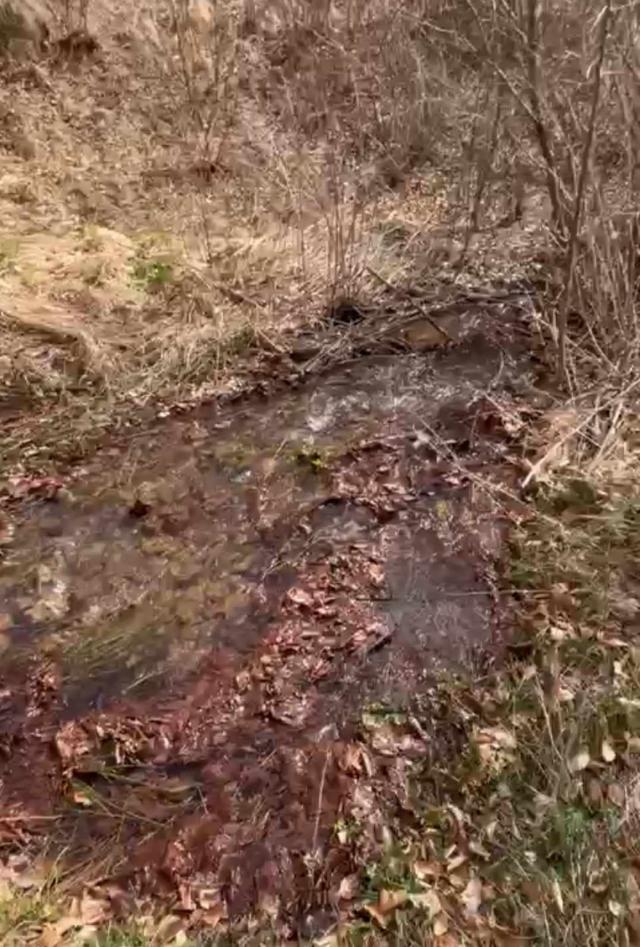 Prodaja zemljišta u okolini Stare planine-Dojkinci