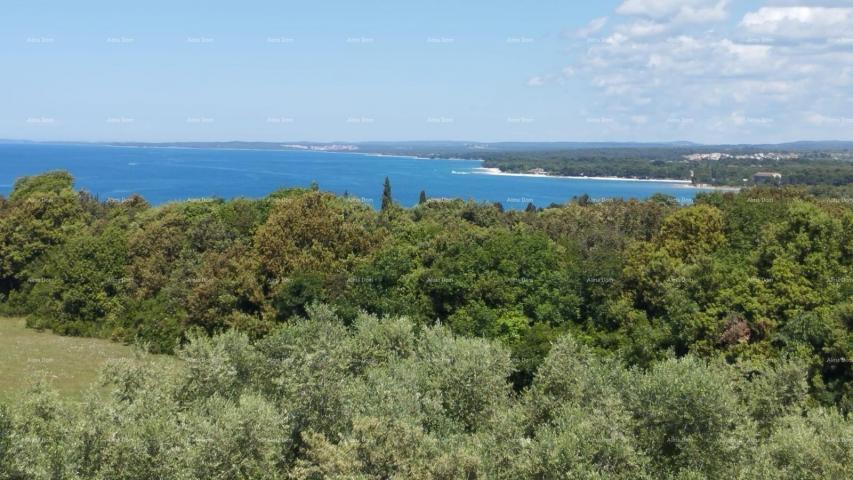 Kuća Prekrasna kuća sa bazenom i pogledom na more, blizina Fažane!