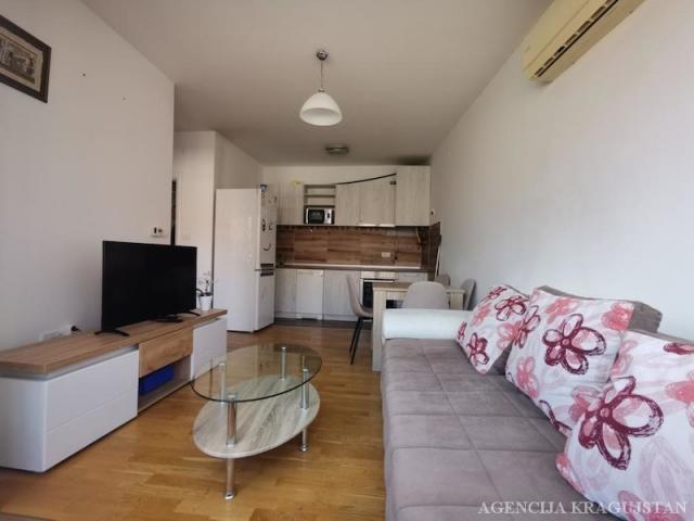 Izdavanje, Stan, 32. 00m2 , Centar