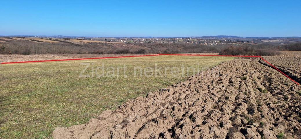 Manić, Veliko polje, 6862m2, uknjiženo