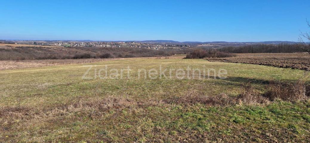 Manić, Veliko polje, 6862m2, uknjiženo