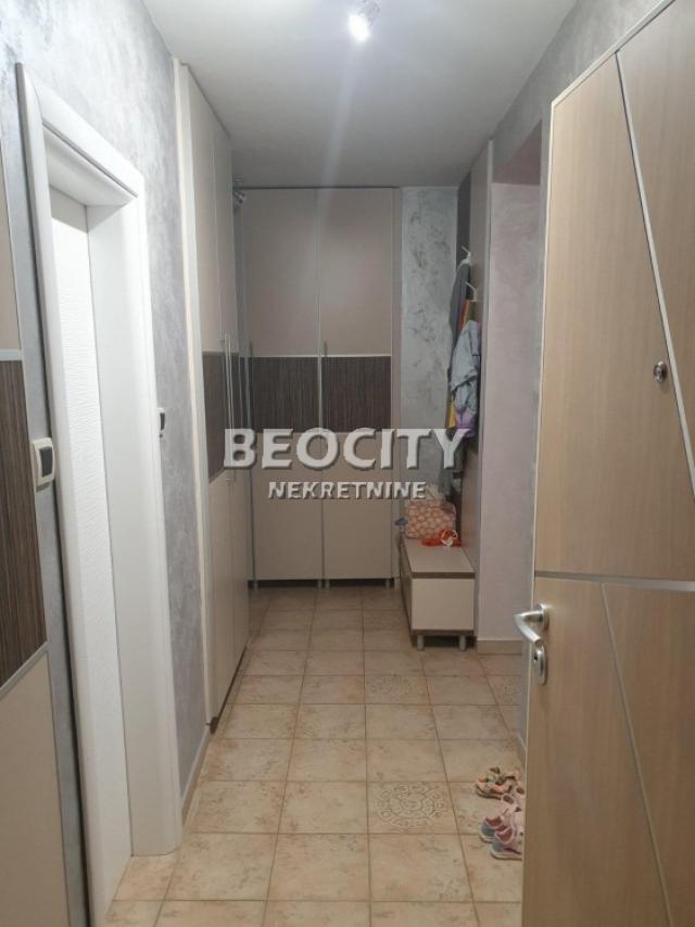 Novi Sad, Detelinara, Dr Svetislava Kasapinovića, 3. 0, 74m2, 750EUR