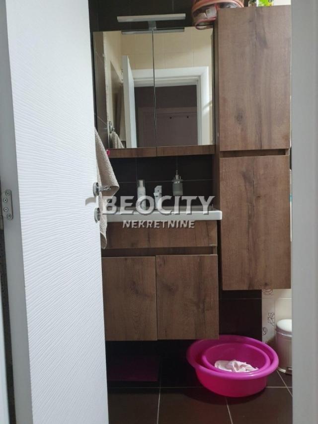 Novi Sad, Detelinara, Dr Svetislava Kasapinovića, 3. 0, 74m2, 750EUR