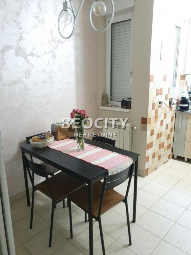 Novi Sad, Detelinara, Dr Svetislava Kasapinovića, 3. 0, 74m2, 750EUR