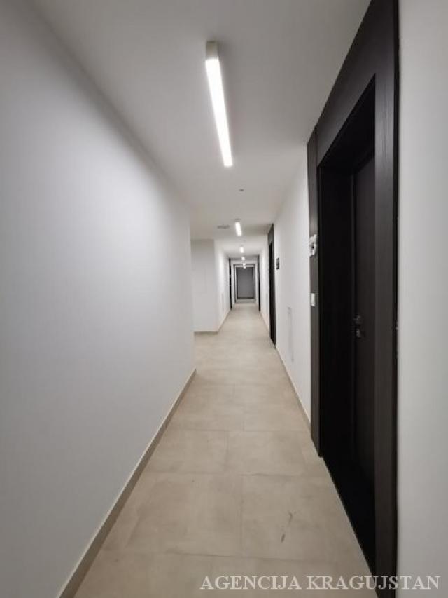 Izdavanje, Stan, 41. 00m2 , Bubanj