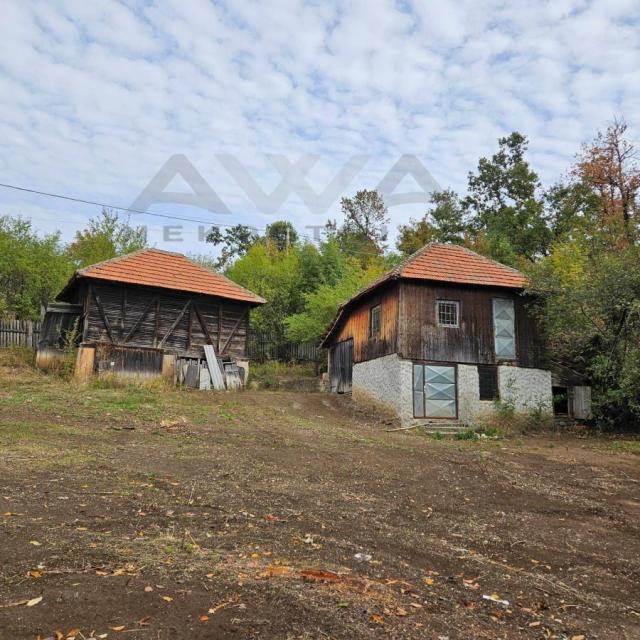 Valakonje- Boljevac  Ni na nebu , ni na zemlji... Domacinstvo sa oko 4hektara zemlje