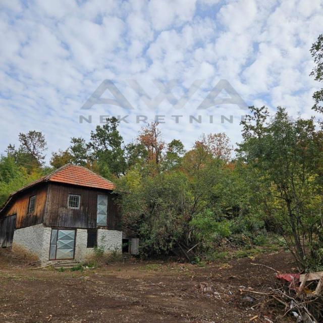 Valakonje- Boljevac  Ni na nebu , ni na zemlji... Domacinstvo sa oko 4hektara zemlje