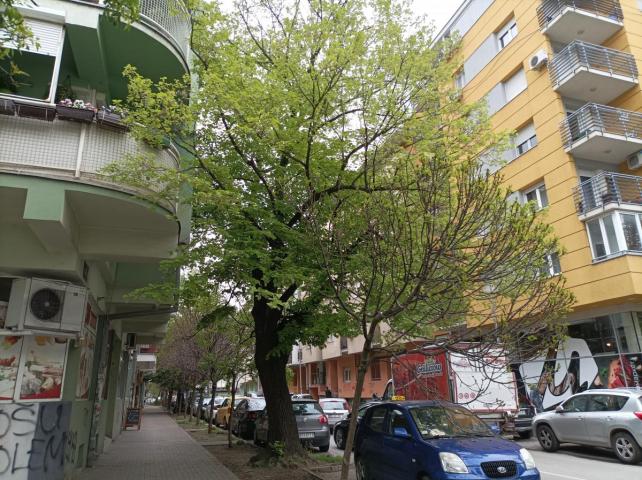 2, 5 soban  stan sa lođom, 55m2, Grbavica, Gogoljeva