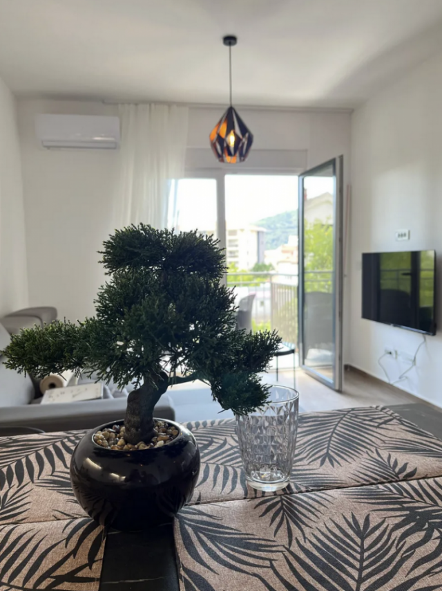 One-Bedroom Apartment of 44 m2 in Budva