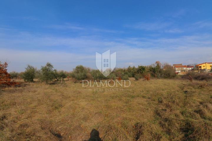 Land Barban, 3.410m2