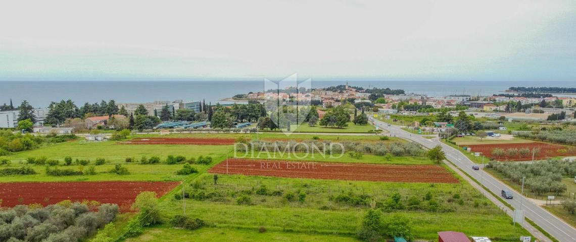 Land Novigrad, 3.167m2