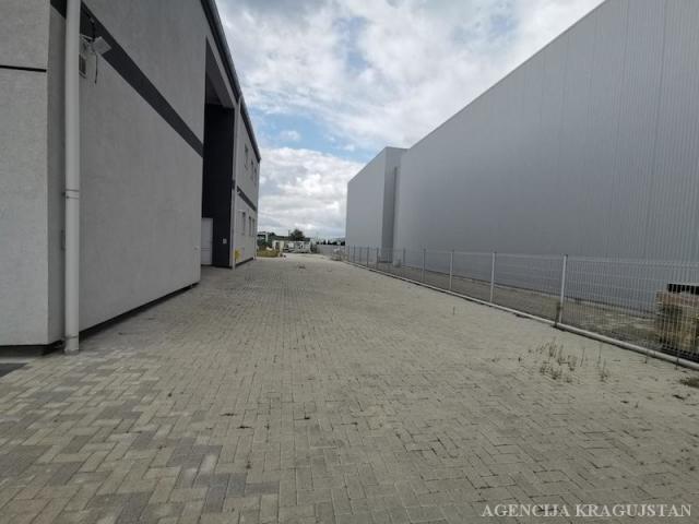 Izdavanje, Lokal, 1200. 00m2 , Industrijska zona