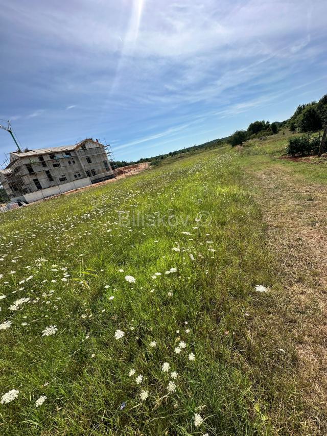 Prodaja, Istra, Želiski, zemljište, projekt za jednu ili šest vila 