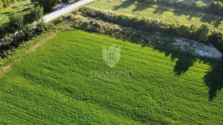 Land Oprtalj, 900m2