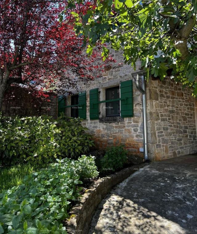 Haus Istrisches Haus mit traditionellem und modernem Design, Tinjan, zu verkaufen