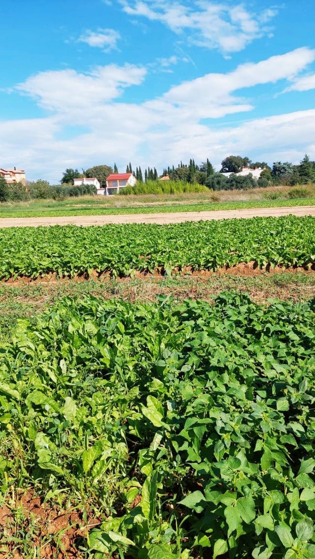 Urbanizirana parcela u blizini mora, Pomer