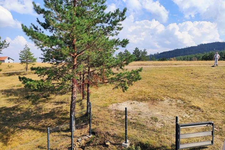 
				Kuća na Zlatiboru sa apartmanima pored Ski centra Tornik
			