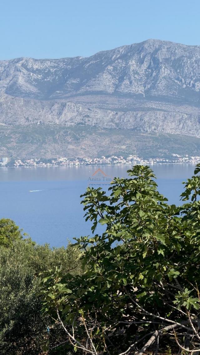 POSTIRA - KUĆA I MASLINIK OD 12. 000 M2 