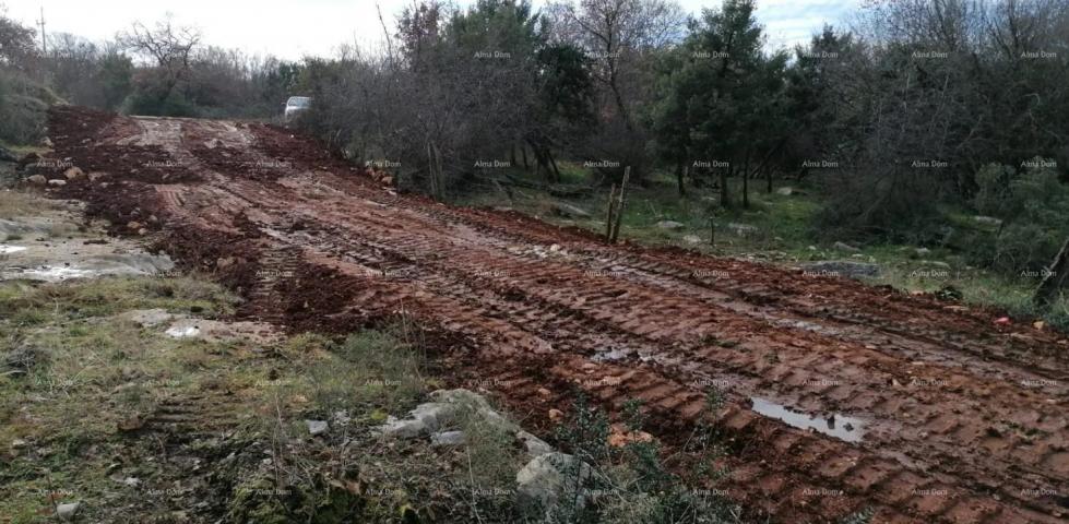 Građevinsko zemljište Prodaje se građevinsko zemljište, Tar (Tar-Vabriga)