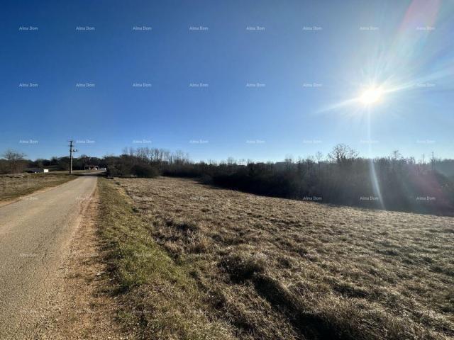 Građevinsko zemljište Prodaje se građevinsko zemljište, 3697 m2, okolica Motovuna