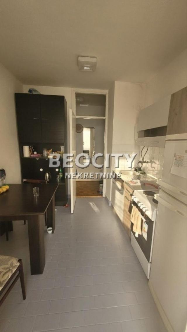 Novi Sad, Bulevar Oslobođenja, Turgenjeva, 2. 0, 44m2, 440EUR Cat friendly