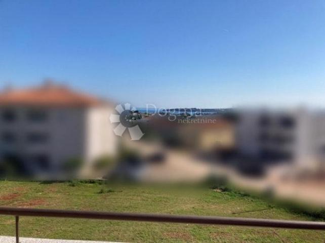 Flat Novigrad, 160m2