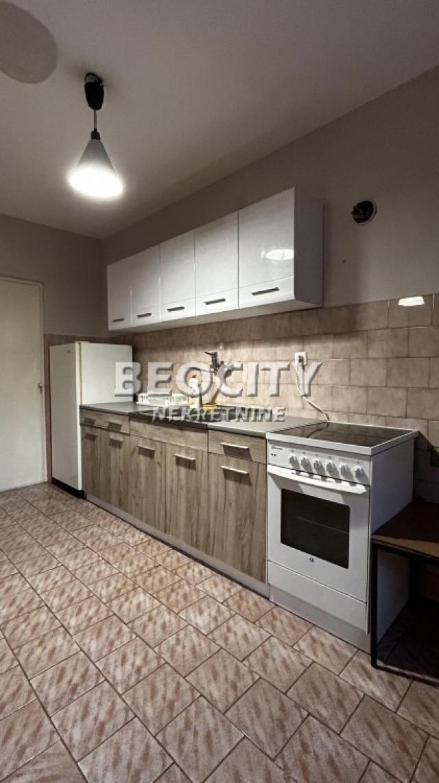 Novi Beograd, Bežanija, Vinogradska, 5. 0, 100m2, 950EUR