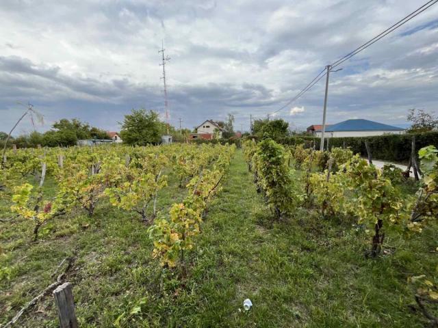 Vikendica sa prelepim placem i pogledom na Jagodinu