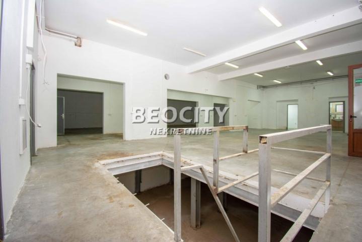 Zvezdara, Kluz, Milana Rakića , 5. 0, 450m2, 3800EUR