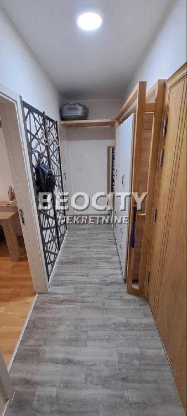 Novi Sad, Detelinara, , 2. 5, 56m2, 145350EUR