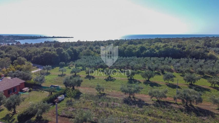 Novigrad, Umgebung! Wunderschöne Villa im Bau, 700 m vom Meer entfernt!