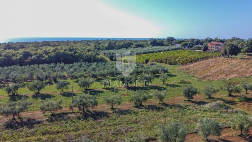 Novigrad, Umgebung! Wunderschöne Villa im Bau, 700 m vom Meer entfernt!